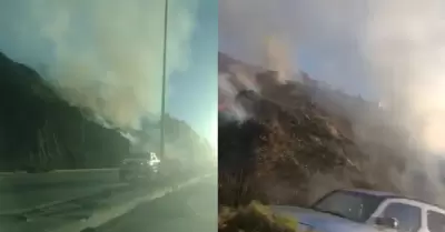 Se registr� incendio en ladera junto al libramiento Salvador Rosas Magall�n