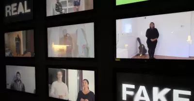 No m�s deepfakes y desinformaci�n