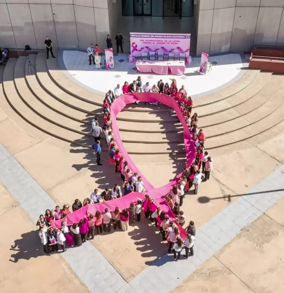 Actividades para la prevenci�n y combate del c�ncer de mama