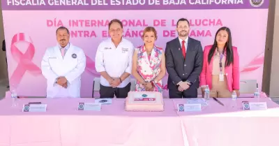 Actividades para la prevenci�n y combate del c�ncer de mama