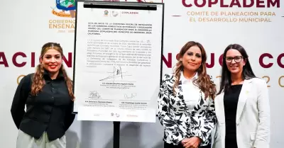 Instalaci�n e integraci�n de los Consejos Consultivos