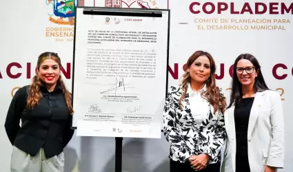 Instalaci�n e integraci�n de los Consejos Consultivos