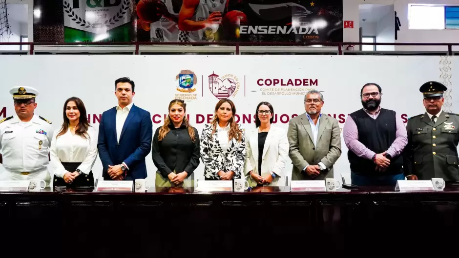 Instalaci�n e integraci�n de los Consejos Consultivos