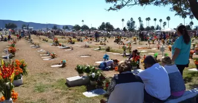Permisos a comerciantes por d�a de muertos