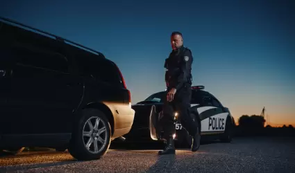 Veh�culos robados