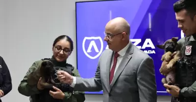 SSCBC recibe donaci�n de Grupo Arza de dos cachorros para la unidad K9 de FESC