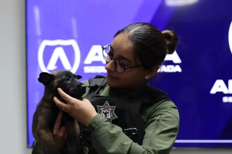 SSCBC recibe donaci�n de Grupo Arza de dos cachorros para la unidad K9 de FESC