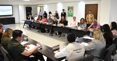 Armonizaci�n legislativa en beneficio de las infancias
