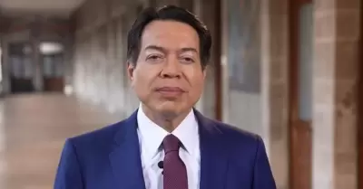 Mario Delgado, secretario de Educaci�n