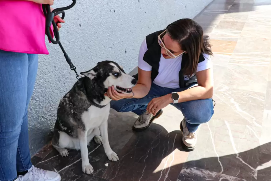 Santuario animal Mily logra tres adopciones en el primer d�a de su nuevo m�dulo