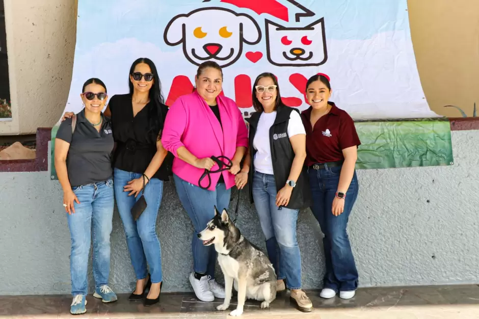 Santuario animal Mily logra tres adopciones en el primer d�a de su nuevo m�dulo