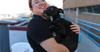 Santuario animal Mily logra tres adopciones en el primer d�a de su nuevo m�dulo