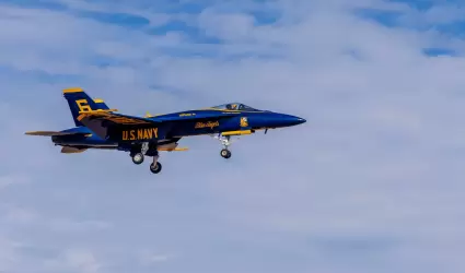 Aviadores navales ca�dos