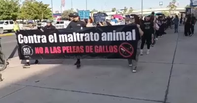Marcha a favor de la aplicaci�n de la Ley de Protecci�n y Bienestar Animal en su