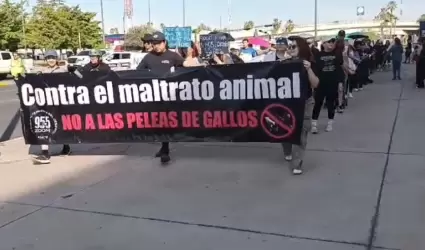 Marcha a favor de la aplicaci�n de la Ley de Protecci�n y Bienestar Animal en su