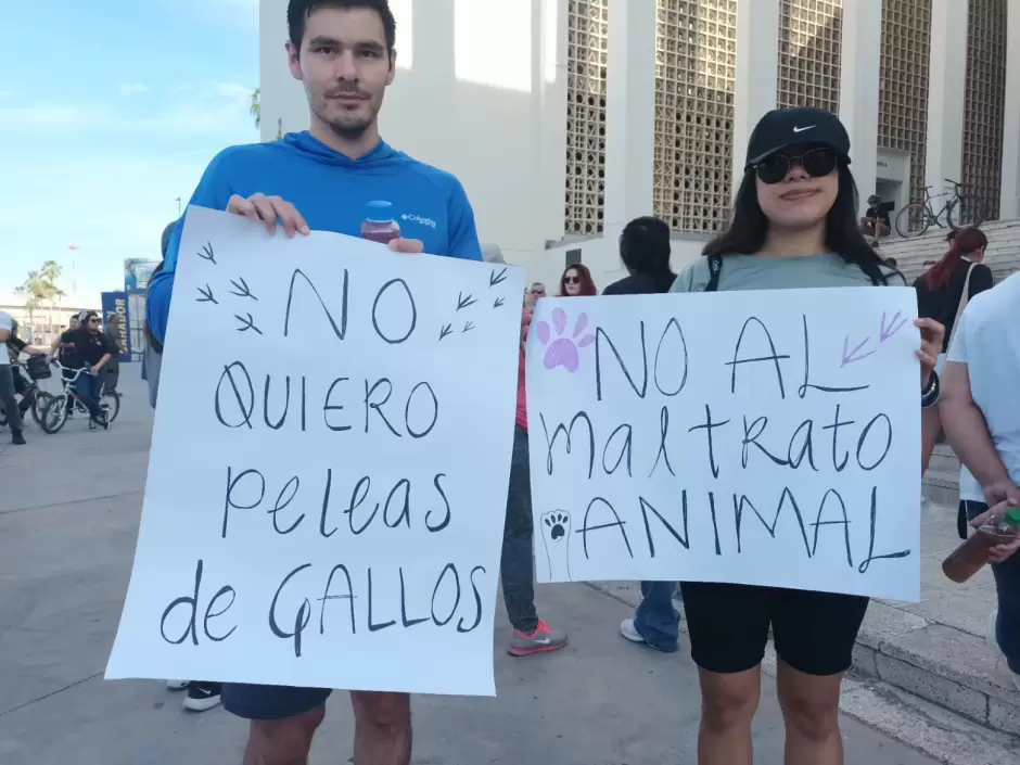 Manifestaci�n de animalistas