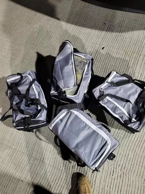 50 paquetes envueltos en pl�stico dentro de cuatro bolsas deportivas