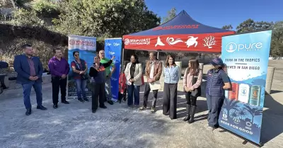 Colocan red en el Ca��n del Pato para impedir la llegada de basura al oc�ano