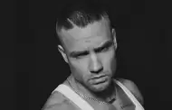 Liam Payne: �Cu�ndo se estrena su �ltima canci�n?