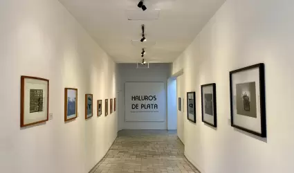 "Haluros de Plata" exposici�n an�loga en blanco y negro