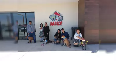Realizan estudiantes del CONALEP servicio comunitario y fomentan la adopci�n de 