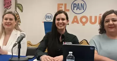 Michel Gonz�lez, aspirante a secretaria general del CEN del PAN