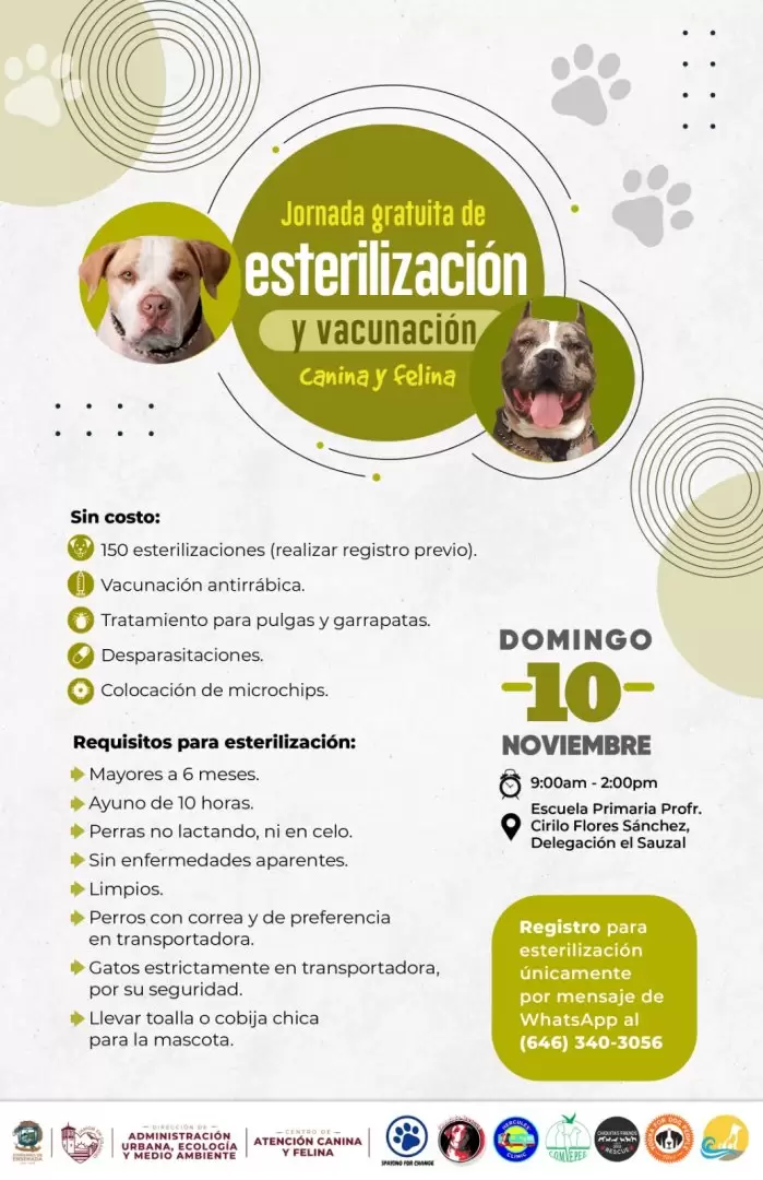 Campa�a de esterilizaci�n de mascotas