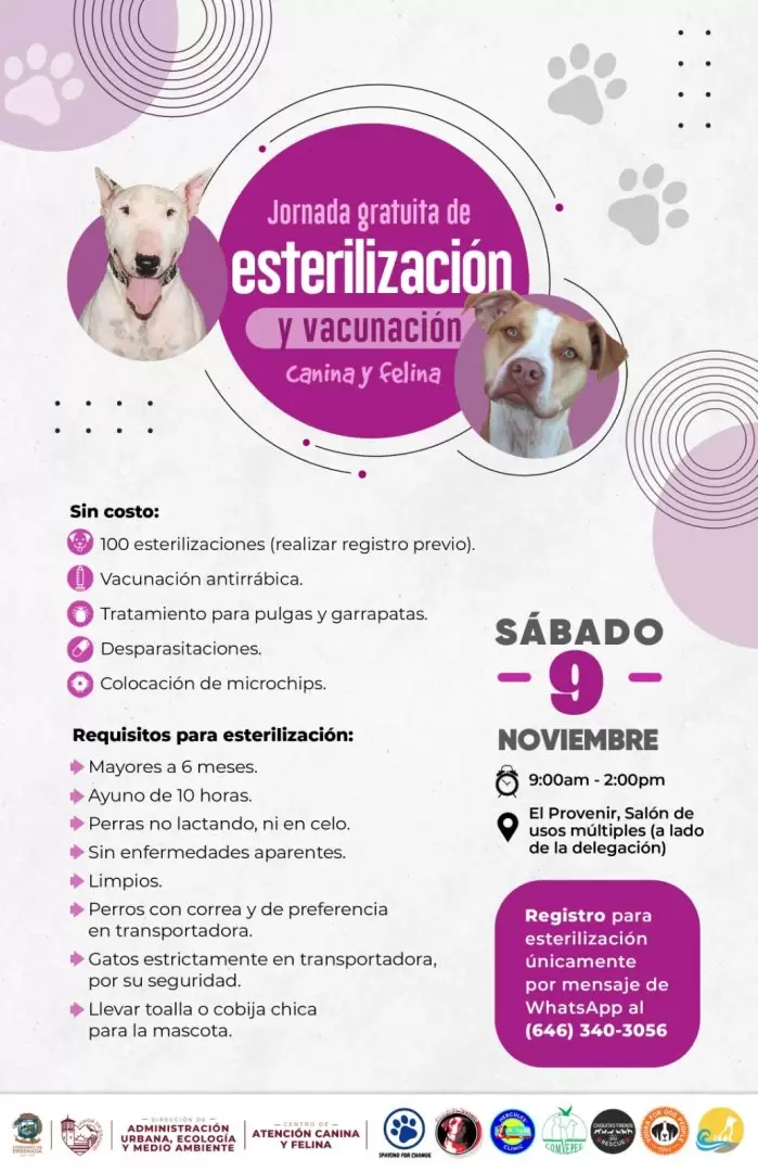 Campa�a de esterilizaci�n de mascotas