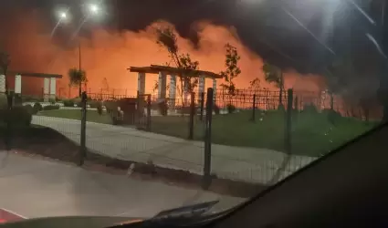 Incendio en Vi�as del Mar alarm� a vecinos cercanos