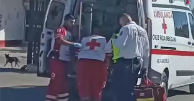 Arrolla veh�culo a un menor en la colonia Puerta del Rey
