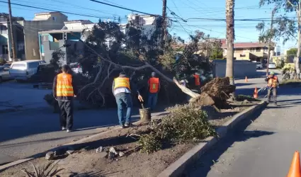 Atiende Gobierno de Ensenada 18 reportes relacionados con la Condici�n Santa Ana