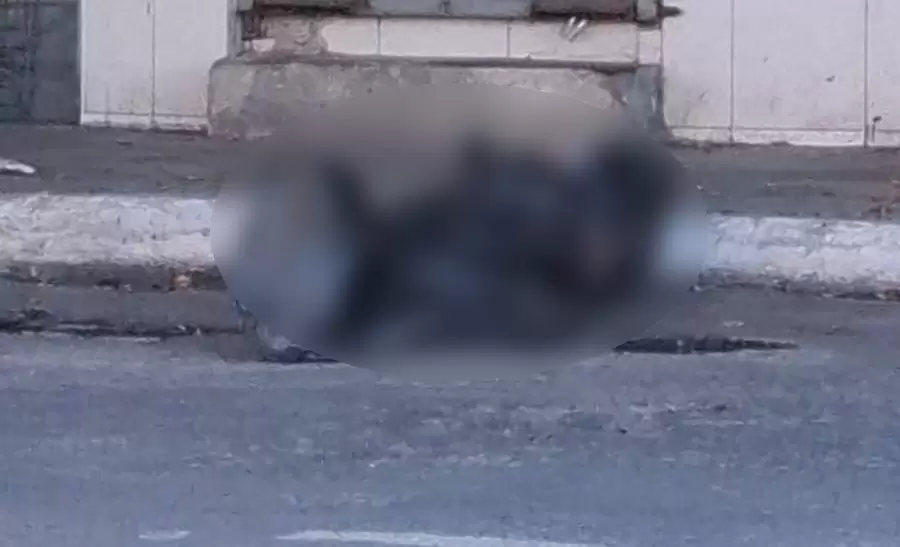 Hallan cuerpo en bolsa de pl�stico en Zona Centro de Tijuana