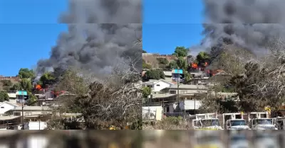 Incendio en Ca��n de las Palmeras moviliz� a Bomberos y Protecci�n Civil en Tiju