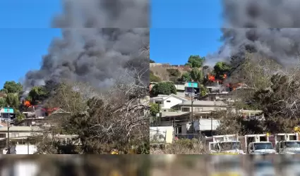 Incendio en Ca��n de las Palmeras moviliz� a Bomberos y Protecci�n Civil en Tiju