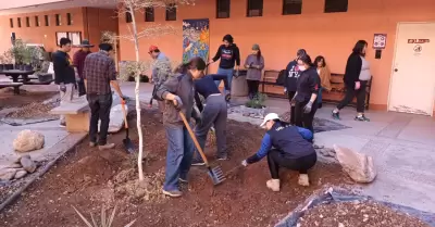 Jard�n polinizador en la escuela de arquitectura y dise�o de la Unison.