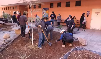 Jard�n polinizador en la escuela de arquitectura y dise�o de la Unison.