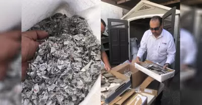 INE BC llev� a cabo la destrucci�n de 73,528 formatos de Credenciales para Votar