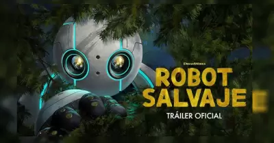 Robot Salvaje�