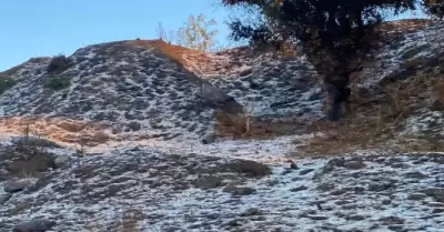 Ca�da de granizo y descenso en la temperatura