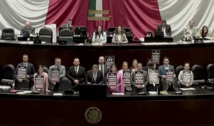 Desaparici�n de organismos aut�nomos, "retroceso" de m�s de 20 a�os en democraci