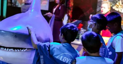 Exposici�n "Tiburones"