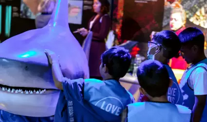 Exposici�n "Tiburones"