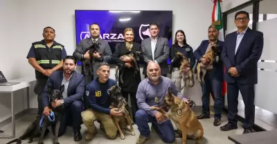 Fiscal�a General del Estado donaci�n de cachorros