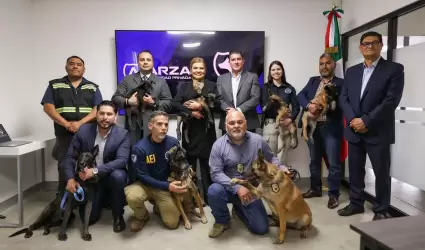 Fiscal�a General del Estado donaci�n de cachorros