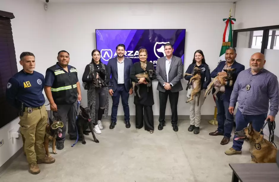 Fiscal�a General del Estado donaci�n de cachorros