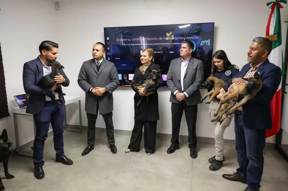 Fiscal�a General del Estado donaci�n de cachorros
