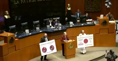 Senado de la Rep�blica