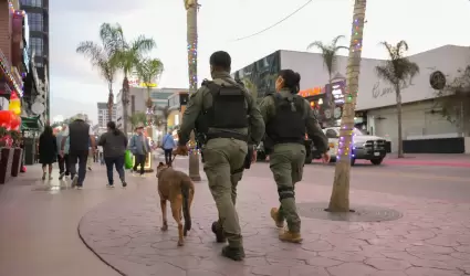 Seguridad