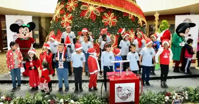 Encienden el �rbol navide�o en el vest�bulo de la Casa Municipal.