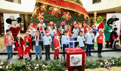 Encienden el �rbol navide�o en el vest�bulo de la Casa Municipal.
